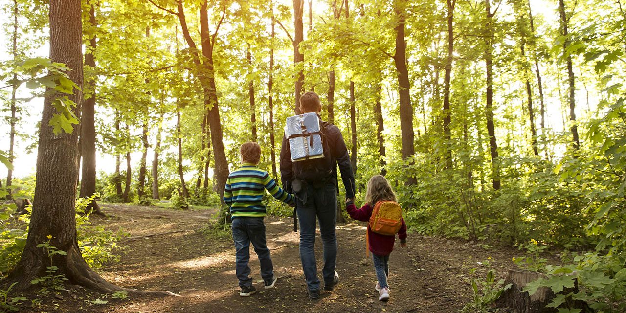 family hiking in the forest near Mountain Creek Campground in Gardners PA family hiking in the forest near Mountain Creek Campground in Gardners PA