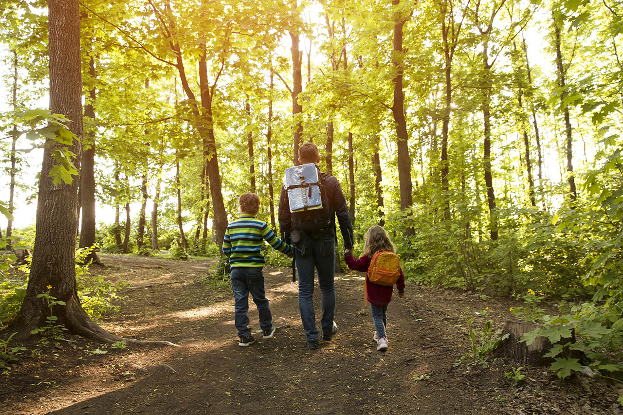 family hiking in the forest near Mountain Creek Campground in Gardners PA family hiking in the forest near Mountain Creek Campground in Gardners PA
