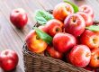 Apple Harvest Festival is a fun activity near Mountain Creek Campground