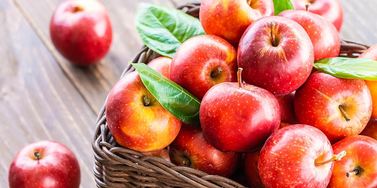 Apple Harvest Festival is a fun activity near Mountain Creek Campground Apple Harvest Festival is a fun activity near Mountain Creek Campground