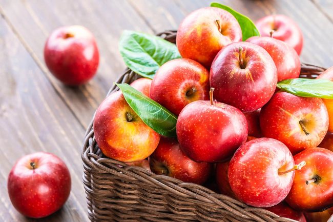 Apple Harvest Festival is a fun activity near Mountain Creek Campground Apple Harvest Festival is a fun activity near Mountain Creek Campground